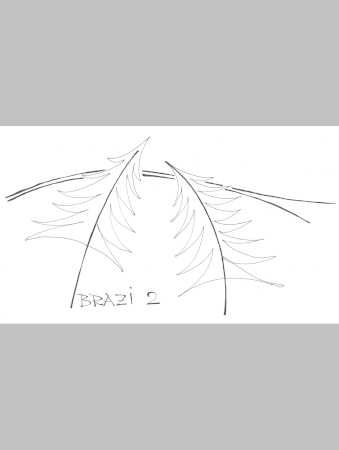 PUZ_Statiunea_Izvoare